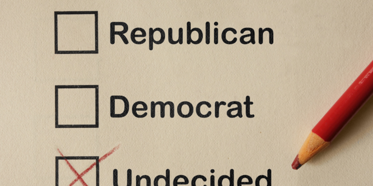 Just Who Are These Undecided Voters?